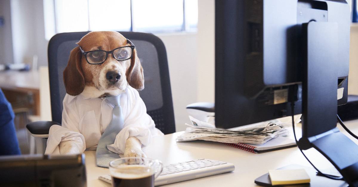 Meetings Planned and Unplanned Meetings Planned and Unplanned