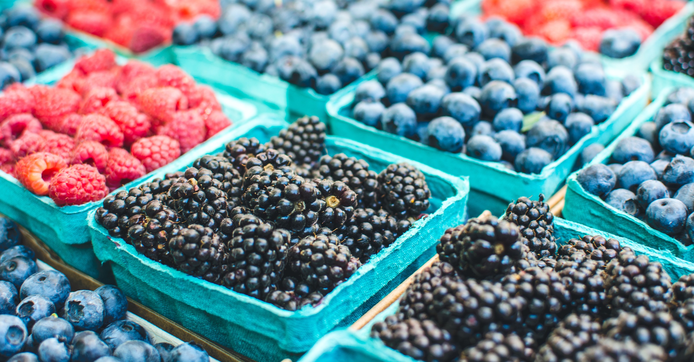 Exploring the Farmers and Makers Market Delights