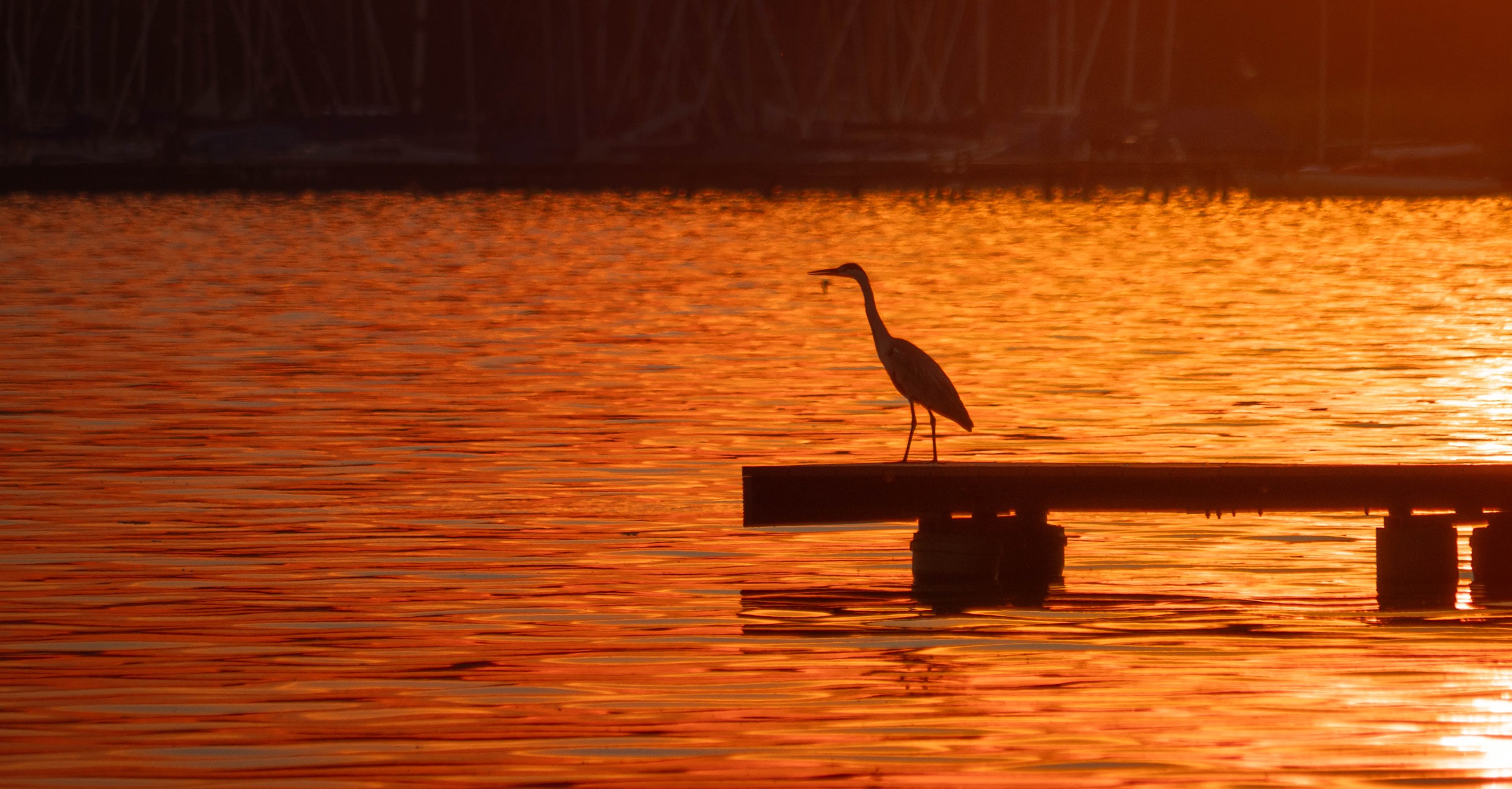 10 Reasons Sea Pines is the Perfect Place to Call Home
